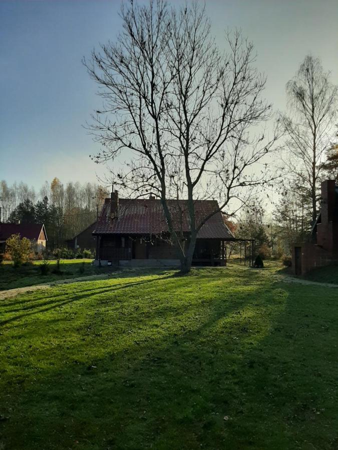 Agroturystyka Zubr Villa Siemianowka Exterior photo