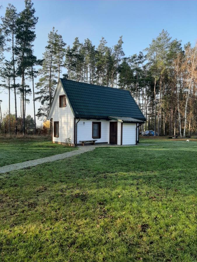 Agroturystyka Zubr Villa Siemianowka Exterior photo